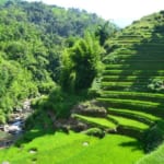 Traditions chez les Thais blacs (5 jours)