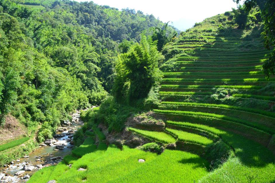 Traditions chez les Thais blacs (5 jours)