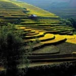 les rizières en terrasses, marchés colorés et villages de minorités ethniques(12 jours 11 nuits)